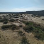 Satılır Torpaq, Məhəmmədli, Abşeron rayonu 7
