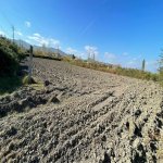 Satılır Torpaq Şabran 5