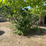 Kirayə (aylıq) 1 otaqlı Bağ evi, Pirşağı qəs., Sabunçu rayonu 2