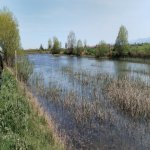 Продажа Участок Хачмаз 74