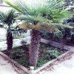 Satılır 6 otaqlı Bağ evi, Xətai rayonu 21