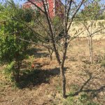 Satılır Torpaq, Masazır, Abşeron rayonu 6
