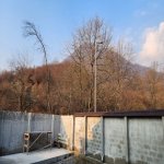 Kirayə (günlük) 3 otaqlı Bağ evi Qəbələ 14