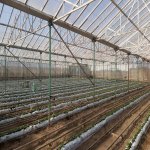 Продажа Участок, Зиря, Хязяр район 5