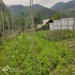 Satılır 6 otaqlı Həyət evi/villa İsmayıllı 7