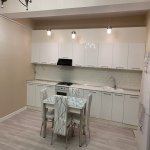 Kirayə (aylıq) 2 otaqlı Yeni Tikili, Səbail rayonu 12