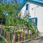 Kirayə (günlük) 4 otaqlı Həyət evi/villa İsmayıllı 2
