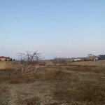 Продажа Участок, пос. Нардаран, Сабунчу район 4