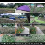 Kirayə (günlük) 3 otaqlı Həyət evi/villa Qəbələ 12
