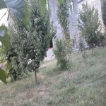 Satılır 5 otaqlı Həyət evi/villa Şəki 20
