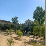 Satılır 6 otaqlı Bağ evi, Şüvəlan, Xəzər rayonu 13