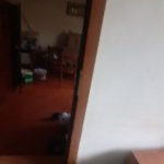 Продажа 5 комнатная Дома/Виллы, м. Короглу метро, пос. Забрат, Сабунчу район 19