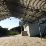 Kirayə (aylıq) 3 otaqlı Həyət evi/villa Qəbələ 1
