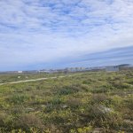 Satılır Torpaq, Masazır, Abşeron rayonu 7