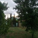Kirayə (günlük) 2 otaqlı Həyət evi/villa İsmayıllı 20