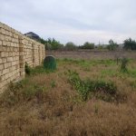 Satılır Torpaq, Fatmayi, Abşeron rayonu 3