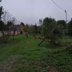 Kirayə (aylıq) 1 otaqlı Bağ evi İsmayıllı 8