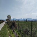 Продажа Участок Хачмаз 6