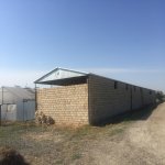 Satılır Torpaq, Dədə Qorqud qəs., Suraxanı rayonu 6