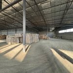 Kirayə (aylıq) Obyekt, Binəqədi qəs., Binəqədi rayonu 24