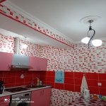 Kirayə (aylıq) 2 otaqlı Yeni Tikili, Neftçilər metrosu, Bakıxanov qəs., Sabunçu rayonu 5