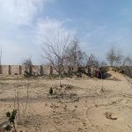 Satılır Torpaq, Nardaran qəs., Sabunçu rayonu 7