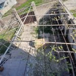 Satılır 4 otaqlı Həyət evi/villa, Savalan qəs., Sabunçu rayonu 22