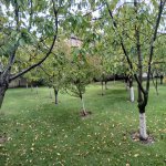 Аренда 2 комнатная Дома/Виллы Губа 6