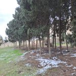 Satılır Torpaq Sumqayıt 8
