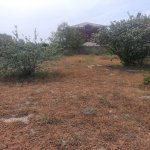 Satılır Torpaq Sumqayıt 3