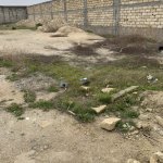 Satılır Torpaq, Binəqədi rayonu 3