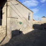 Satılır 2 otaqlı Həyət evi/villa, Zabrat qəs., Sabunçu rayonu 18