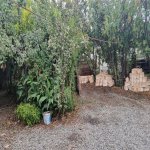 Satılır 3 otaqlı Həyət evi/villa, Qaradağ qəs., Qaradağ rayonu 12