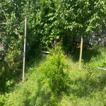 Satılır 3 otaqlı Həyət evi/villa İsmayıllı 2
