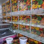 Kirayə (aylıq) Obyekt, Nizami rayonu 3