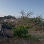 Satılır Torpaq, Bilgəh qəs., Sabunçu rayonu 4