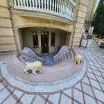 Satılır 7 otaqlı Həyət evi/villa, Həzi Aslanov metrosu, H.Aslanov qəs., Xətai rayonu 12
