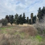 Satılır Torpaq, Mərdəkan, Xəzər rayonu 2