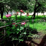 Satılır 3 otaqlı Həyət evi/villa Qəbələ 1
