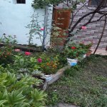 Kirayə (günlük) 3 otaqlı Həyət evi/villa Şəki 8
