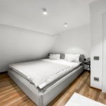 Kirayə (günlük) 2 otaqlı Bağ evi Qəbələ 9