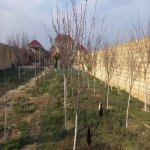 Satılır Torpaq, Novxanı, Abşeron rayonu 3