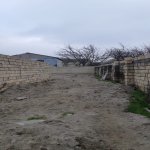 Satılır Torpaq, Novxanı, Abşeron rayonu 7