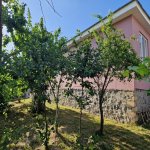 Kirayə (günlük) 5 otaqlı Həyət evi/villa Şəki 25