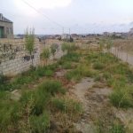 Satılır Torpaq, Saray, Abşeron rayonu 1
