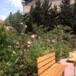 Kirayə (aylıq) 7 otaqlı Həyət evi/villa, Badamdar qəs., Səbail rayonu 29