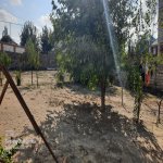 Satılır Torpaq, Saray, Abşeron rayonu 3