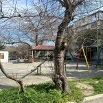 Kirayə (aylıq) 2 otaqlı Köhnə Tikili, Elmlər akademiyası metrosu, Yasamal rayonu 15