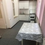 Kirayə (aylıq) 1 otaqlı Köhnə Tikili, İçərişəhər metrosu, Qış parkı, Nəsimi rayonu 8