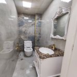 Satılır 2 otaqlı Yeni Tikili, Qara Qarayev metrosu, Nizami rayonu 14